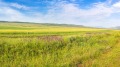 Продава  Земеделска земя област Пловдив , с. Царимир , 21.5 дка | 75156915