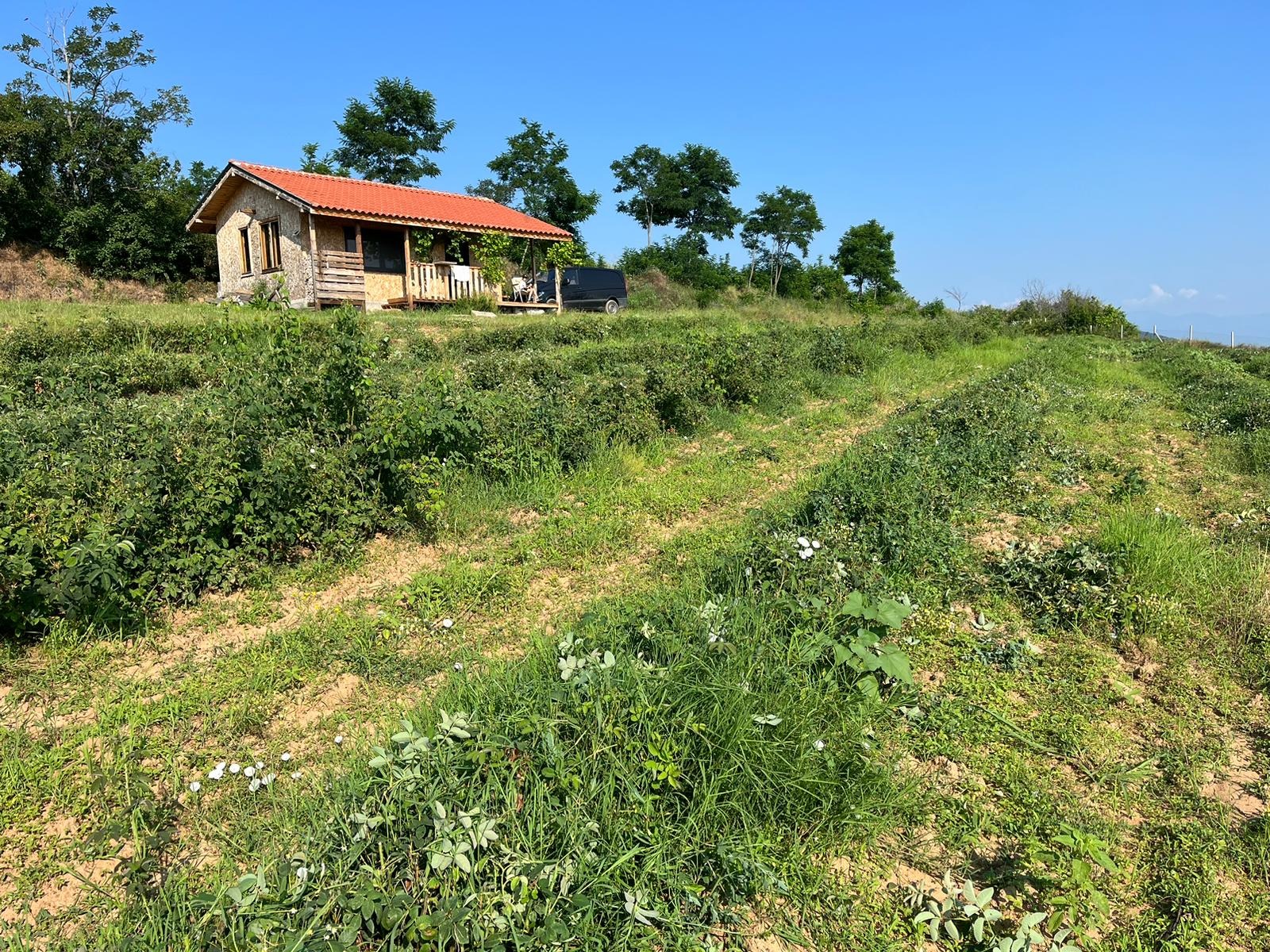 ������� ���������� ���� | Imot.bg � ����������� 2