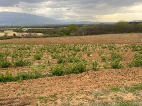 ������� ���������� ���� | Imot.bg � ����� ������ 5