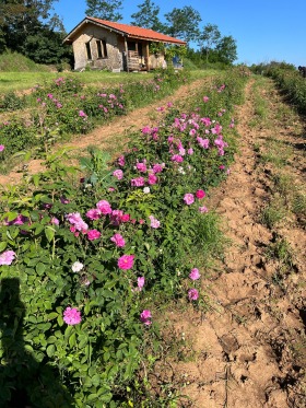 ����� ������� ���������� ����,�. �����������, ������ �������