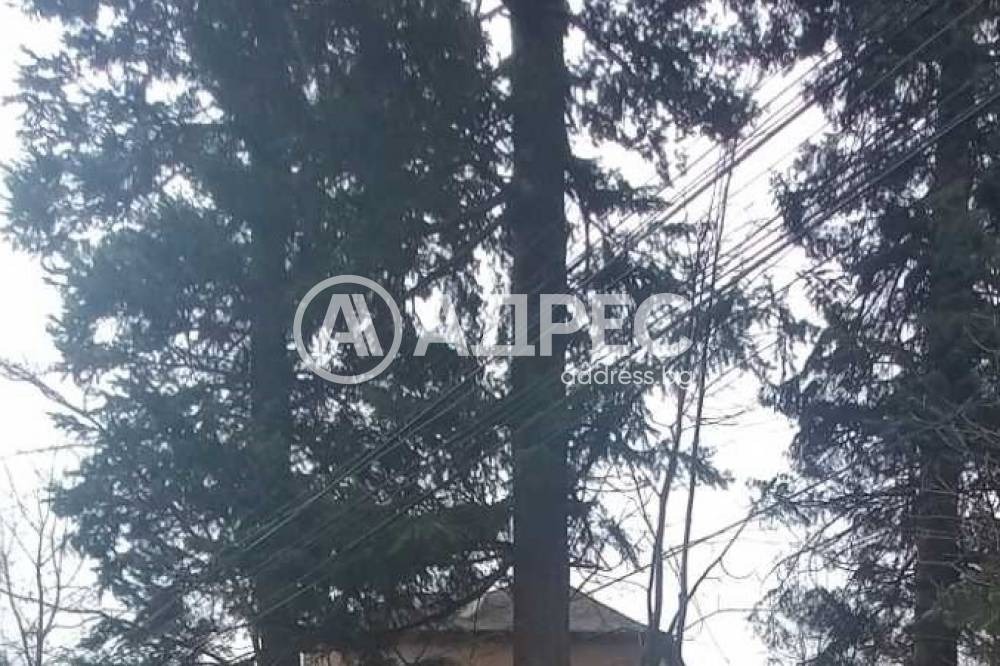 ������� ���� �� ���� | Imot.bg � ����������� 1