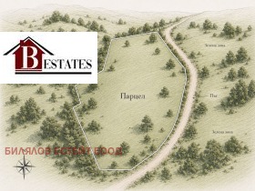 ������ ������� ������