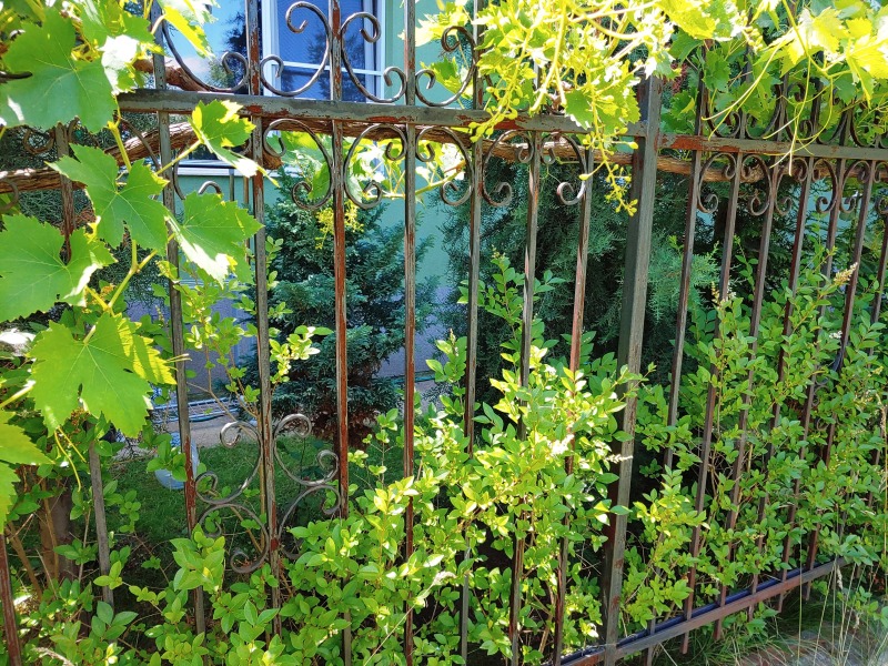 À vendre  Studio Sofia , Ovtcha koupel , 35 m² | 48618880 - image [9]