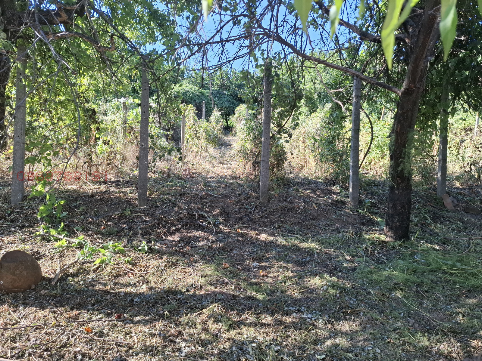 Продава КЪЩА, с. Айдемир, област Силистра, снимка 17 - Къщи - 55679861