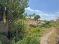 Продава ПАРЦЕЛ, с. Стоян Михайловски, област Шумен, снимка 5