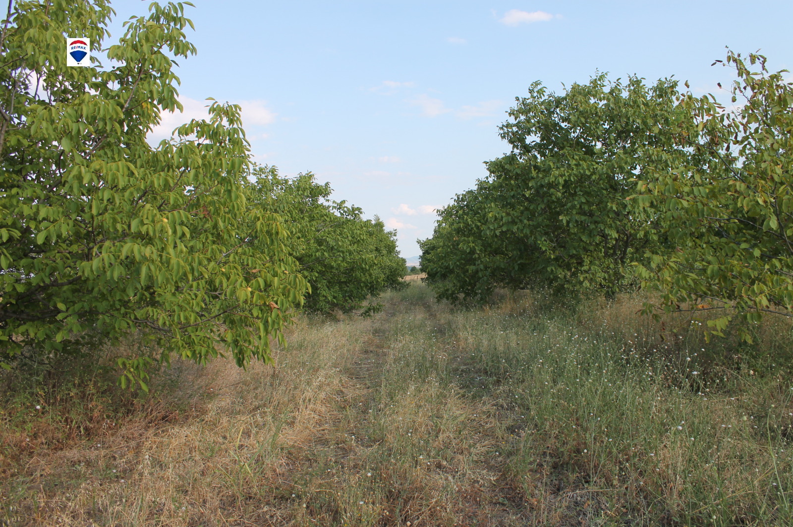 ������� ���������� ���� | Imot.bg � ����������� 3