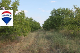 Land Bogdanitsa, region Plovdiv 3