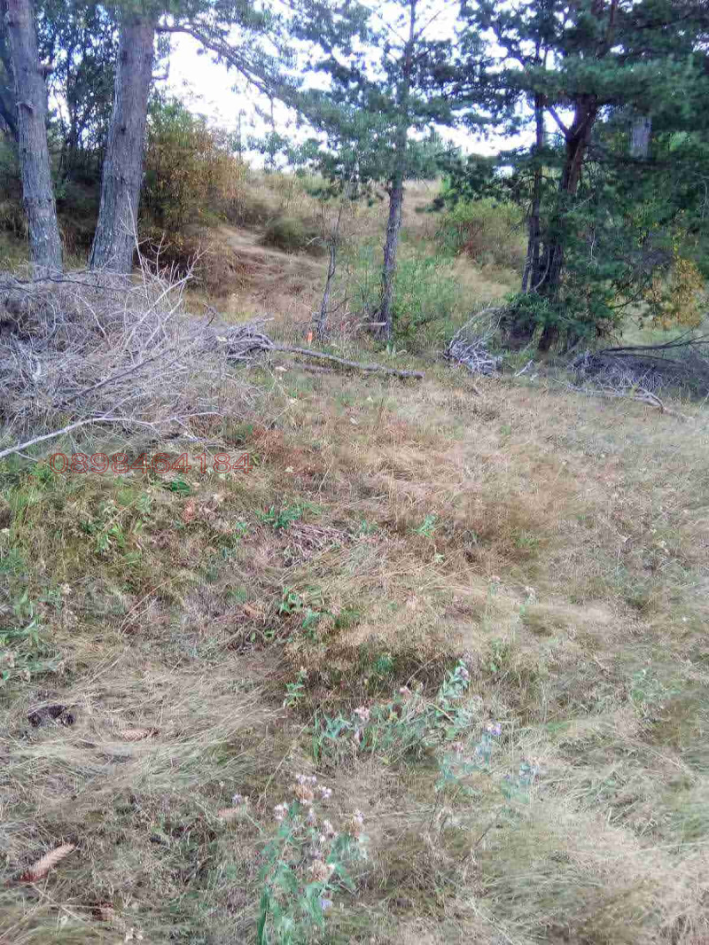 Продава ПАРЦЕЛ, к.к. Пампорово, област Смолян, снимка 2 - Парцели - 52781611