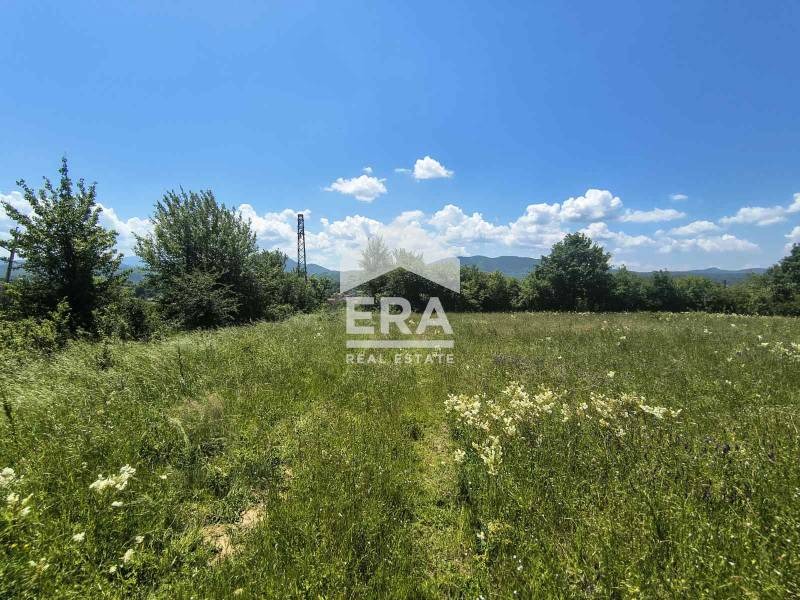 Продаја  Плот регион Велико Тарново , Елена , 9053 м2 | 56774482