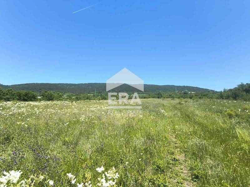 Продаја  Плот регион Велико Тарново , Елена , 9053 м2 | 56774482 - слика [2]