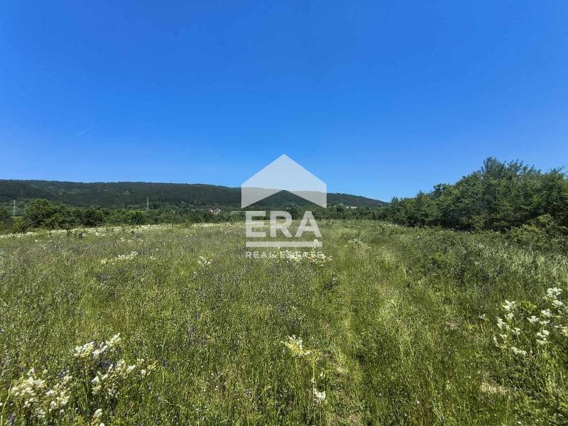 Продаја  Плот регион Велико Тарново , Елена , 9053 м2 | 56774482 - слика [3]