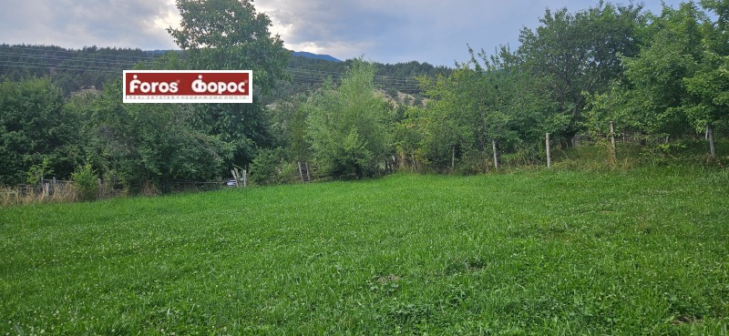 Te koop  Verhaallijn regio Blagoëvgrad , Dobarsko , 558 m² | 68121633 - afbeelding [4]