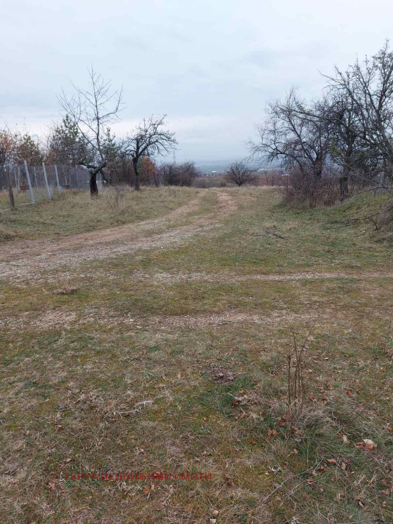 Na sprzedaż  Działka Sofia , Podgumer , 380 mkw | 63825094 - obraz [3]