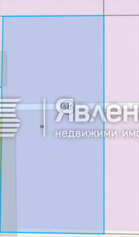 ����� ������� ������,���� ������, ������