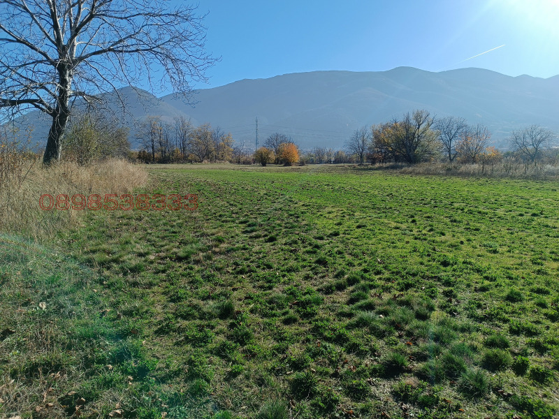 Продава ЗЕМЕДЕЛСКА ЗЕМЯ, гр. Сапарева баня, област Кюстендил, снимка 11 - Земеделска земя - 52788066