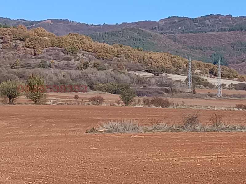 Продава ЗЕМЕДЕЛСКА ЗЕМЯ, гр. Сапарева баня, област Кюстендил, снимка 12 - Земеделска земя - 52788066