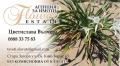 Продава 3-СТАЕН, град Стара Загора, Център • 99999 € / 195581.04 лв. • 97792975 1