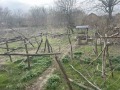 Продава КЪЩА, област Плевен, с. Вълчитрън • 40000 лв. / 20451.68 € • 33806586 6