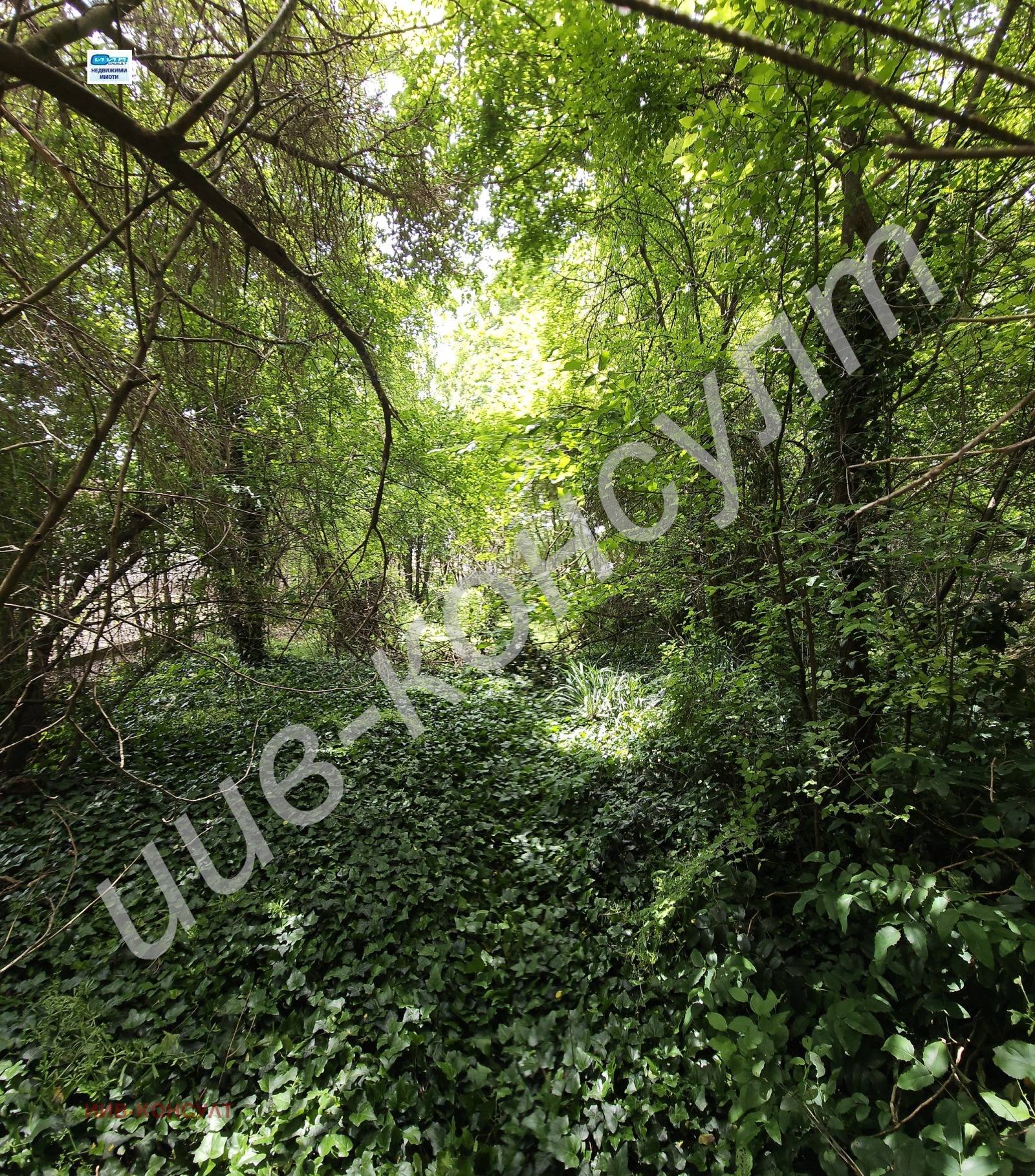 Продава КЪЩА | Imot.bg — изображение 12