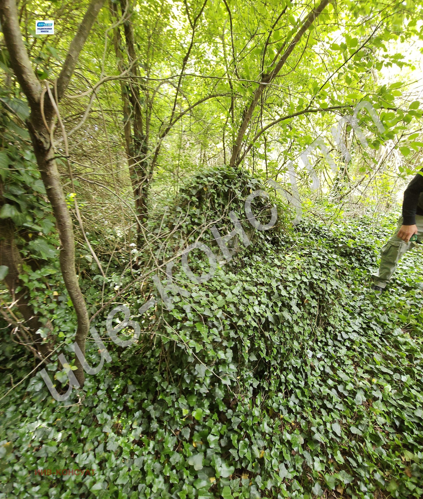 Продава КЪЩА | Imot.bg — изображение 11