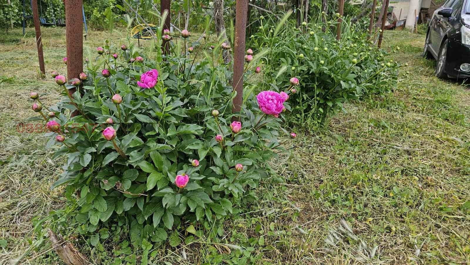 Продава КЪЩА, гр. Варна, Свети Никола, снимка 3 - Къщи - 54961916