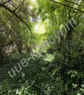 Продава КЪЩА, област Велико Търново, с. Караисен • 11000 € • 36483270 — Holmes.bg