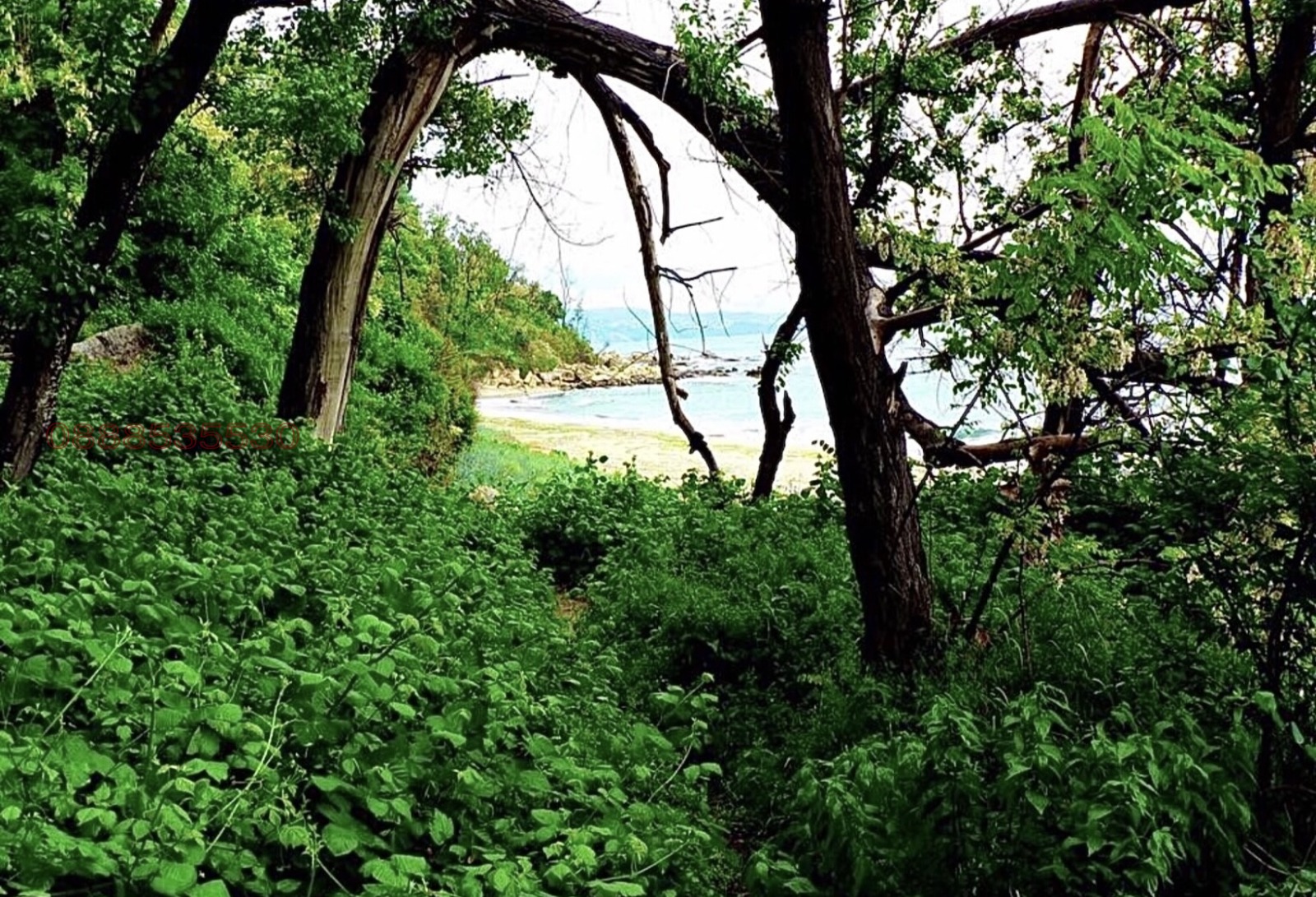 Продава КЪЩА | Imot.bg — изображение 3