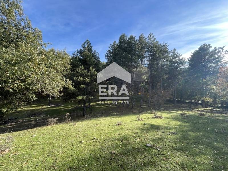 Продава ПАРЦЕЛ, с. Гургулица, област Кърджали, снимка 10 - Парцели - 52415099