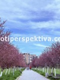 Продава 3-СТАЕН, гр. Пловдив, Тракия, снимка 8