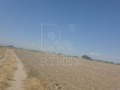 Продава ПАРЦЕЛ, с. Брестовица, област Пловдив, снимка 2