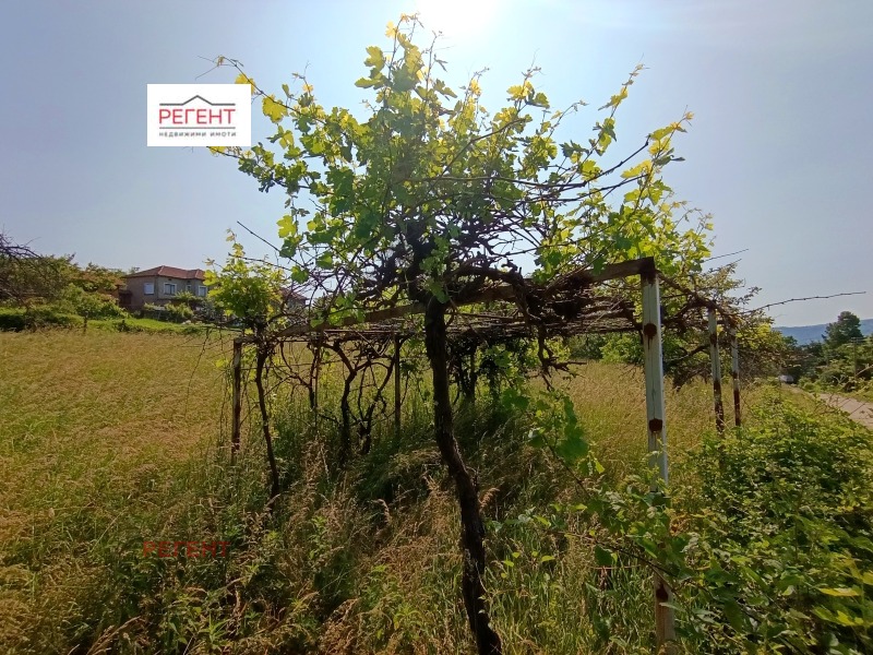 De vânzare  Complot regiunea Gabrovo , Sevlievo , 1750 mp | 14943844 - imagine [2]
