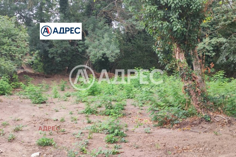 Продава ПАРЦЕЛ, гр. Варна, м-т Боровец - юг, снимка 4 - Парцели - 51492668
