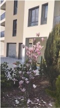 Продава 3-СТАЕН, град София, Дървеница • 244800 € / 478787.18 лв. • 57683219 1