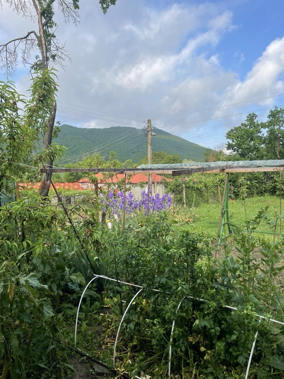 ������� ���� | Imot.bg � ����������� 4