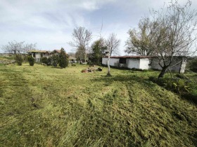 ����� ������� ������,�. �����, ������ ������