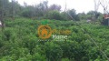 Продава ПАРЦЕЛ, гр. Добрич, м-т Газибаба, снимка 4