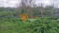 Продава ПАРЦЕЛ, гр. Добрич, м-т Газибаба, снимка 3