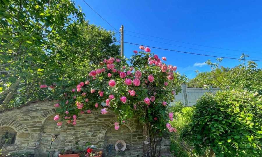 Продава КЪЩА | Imot.bg — изображение 5