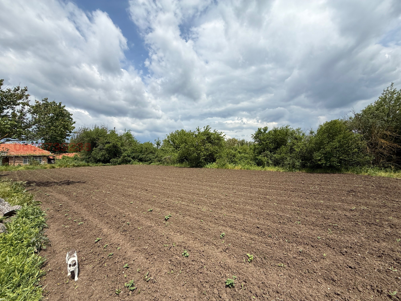 ������� ���� | Imot.bg � ����������� 5