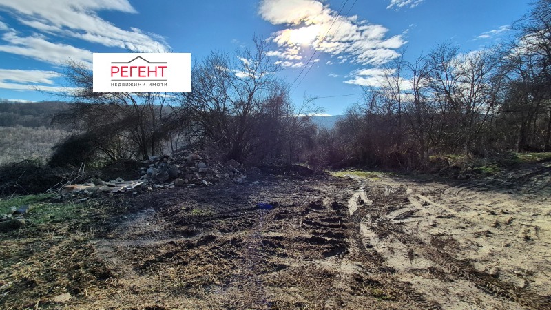 Продава ПАРЦЕЛ, с. Иванили, област Габрово, снимка 9 - Парцели - 53462916