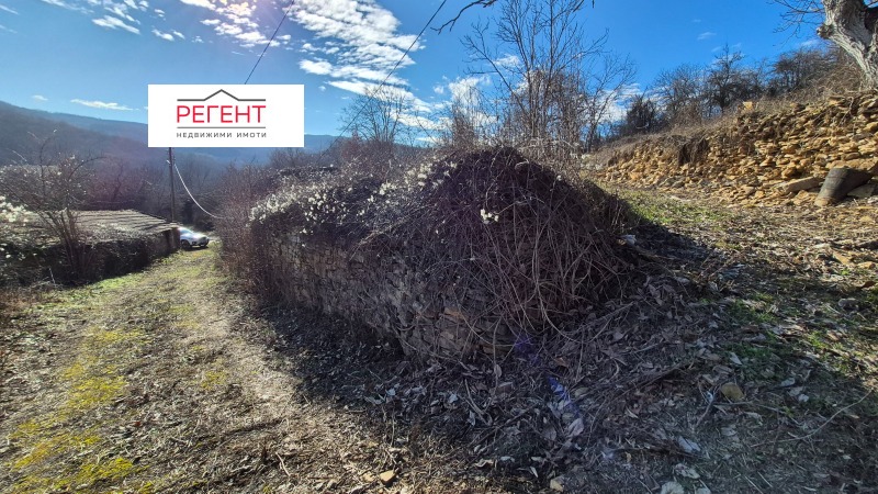 Продава ПАРЦЕЛ, с. Иванили, област Габрово, снимка 7 - Парцели - 53462916