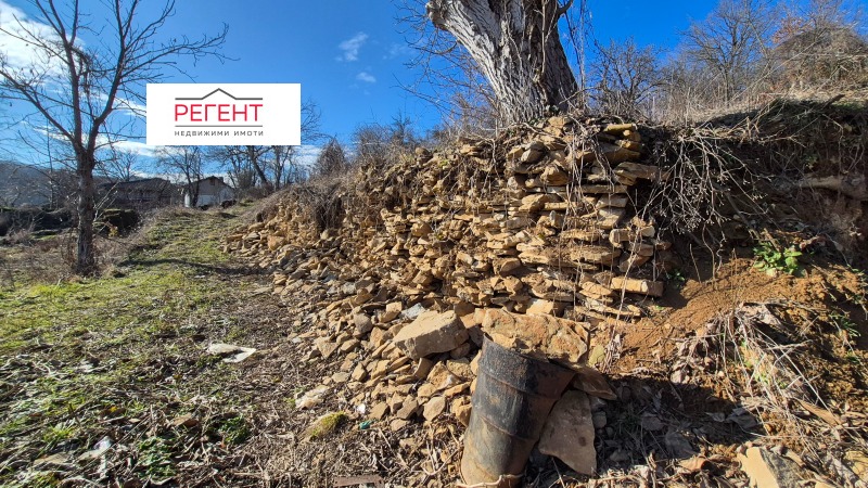 Продава ПАРЦЕЛ, с. Иванили, област Габрово, снимка 4 - Парцели - 53462916