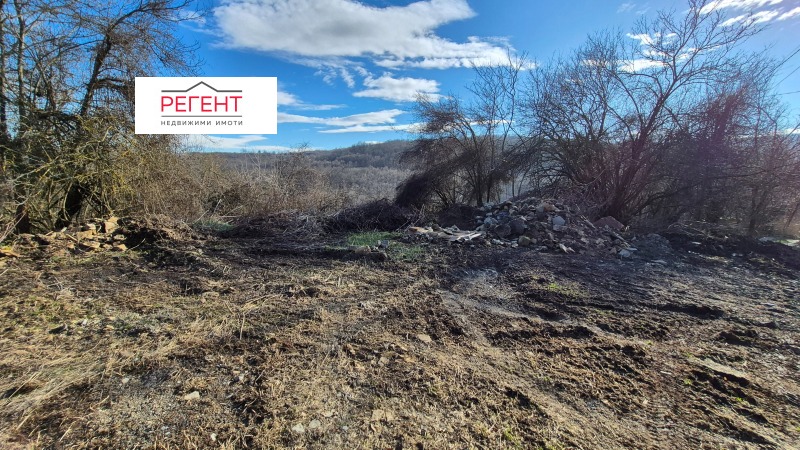 Продава ПАРЦЕЛ, с. Иванили, област Габрово, снимка 10 - Парцели - 53462916