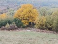 Продава ПАРЦЕЛ, с. Белопопци, област София област, снимка 2
