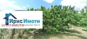 ������� ���� | Imot.bg � ����� ������ 6