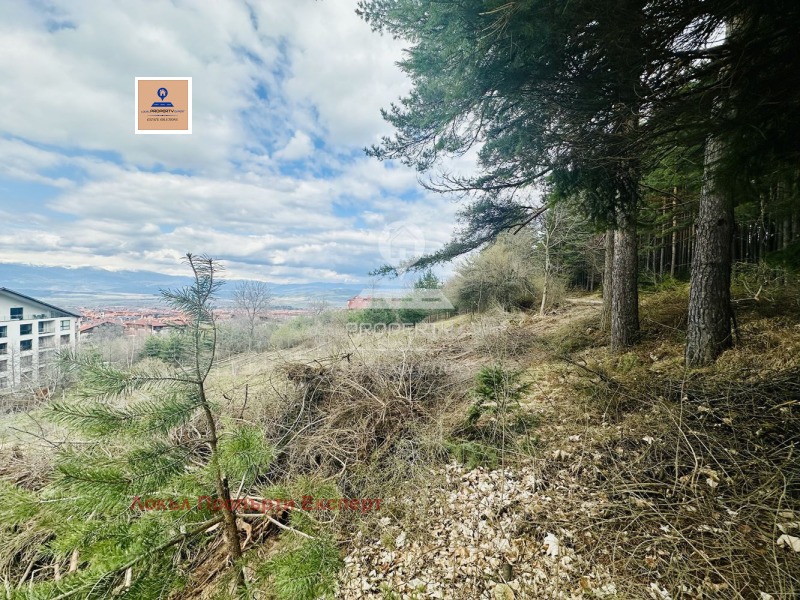For Sale  Plot region Blagoevgrad , Bansko , 3038 sq.m | 59053702 - image [4]