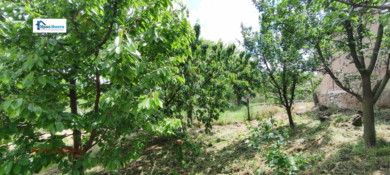 Продава КЪЩА, с. Драговищица, област Кюстендил, снимка 7 - Къщи - 54690539