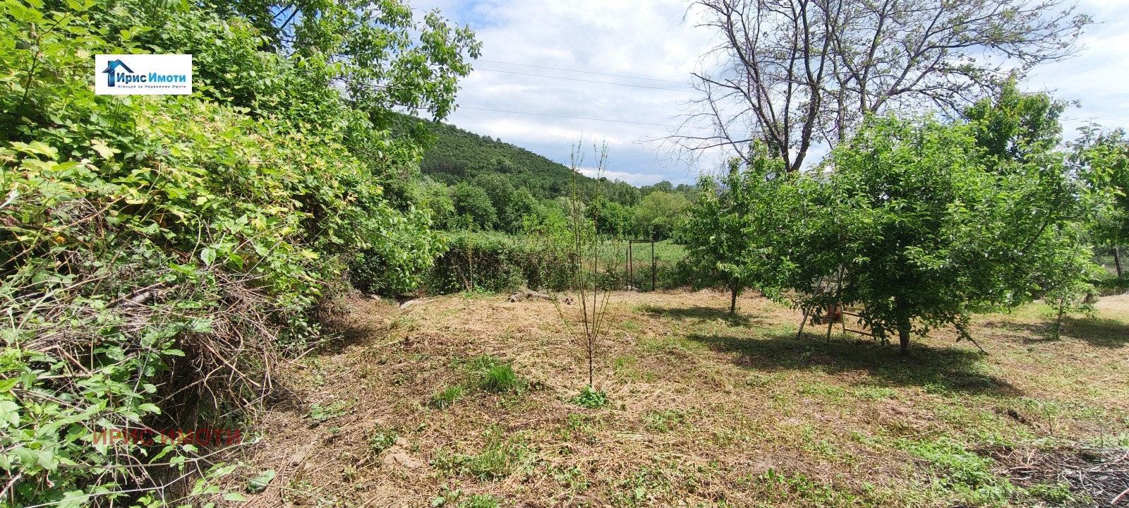 Продава КЪЩА, с. Драговищица, област Кюстендил, снимка 5 - Къщи - 54690539