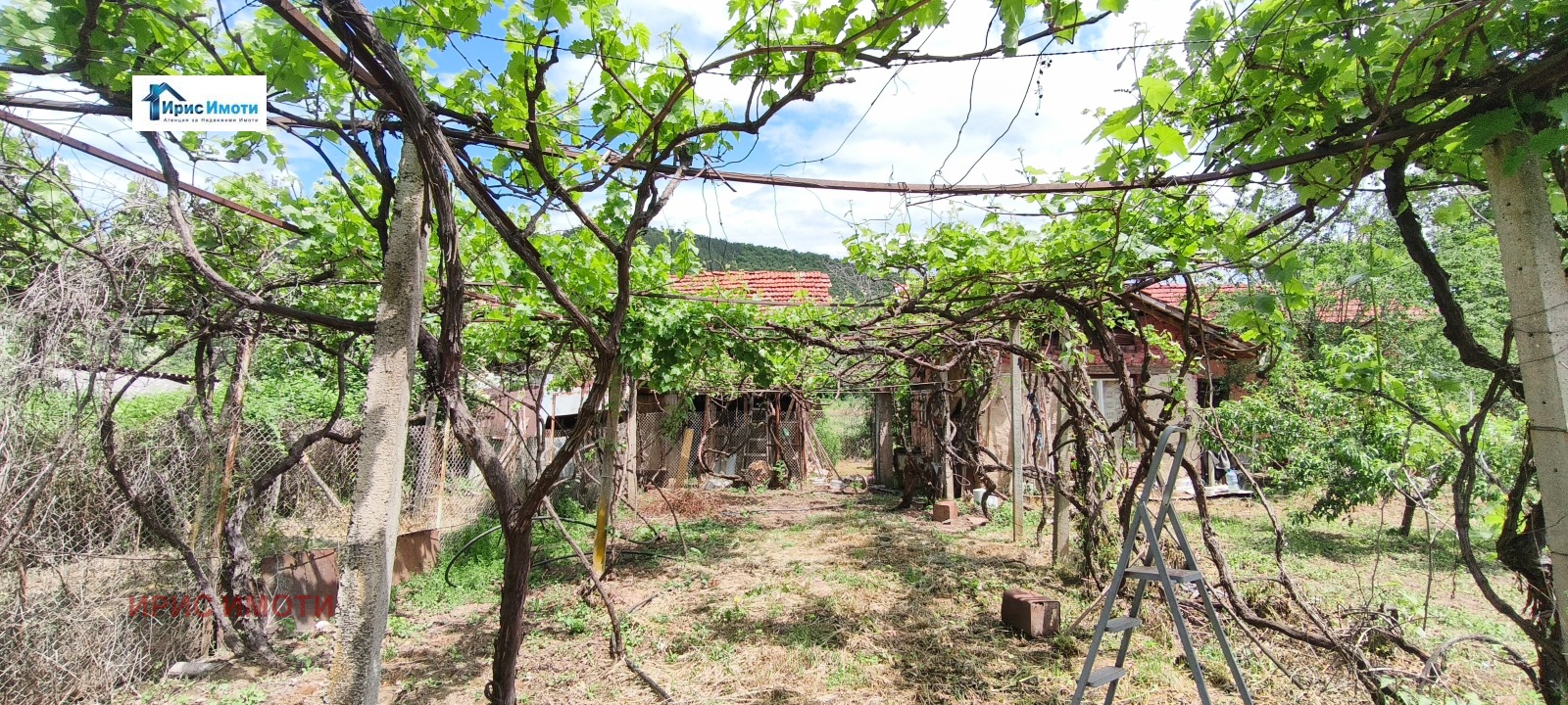 Продава КЪЩА, с. Драговищица, област Кюстендил, снимка 4 - Къщи - 54690539