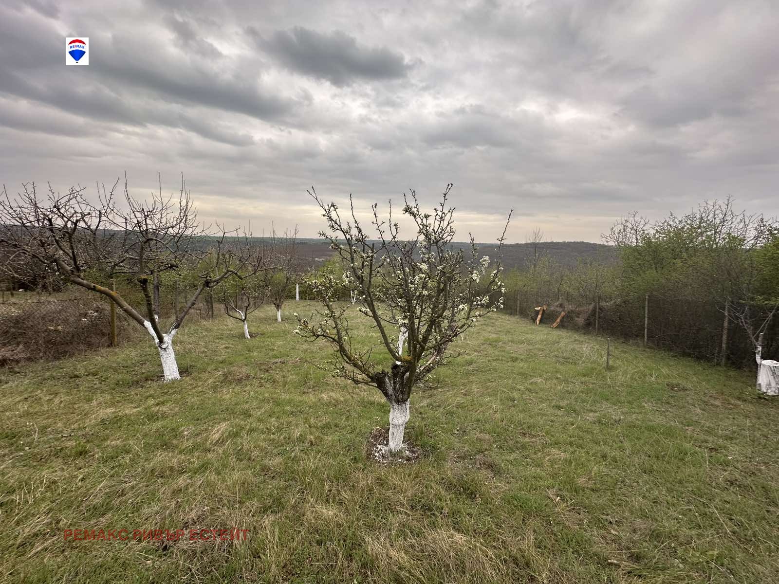 Продава ПАРЦЕЛ, с. Николово, област Русе, снимка 2 - Парцели - 49675625